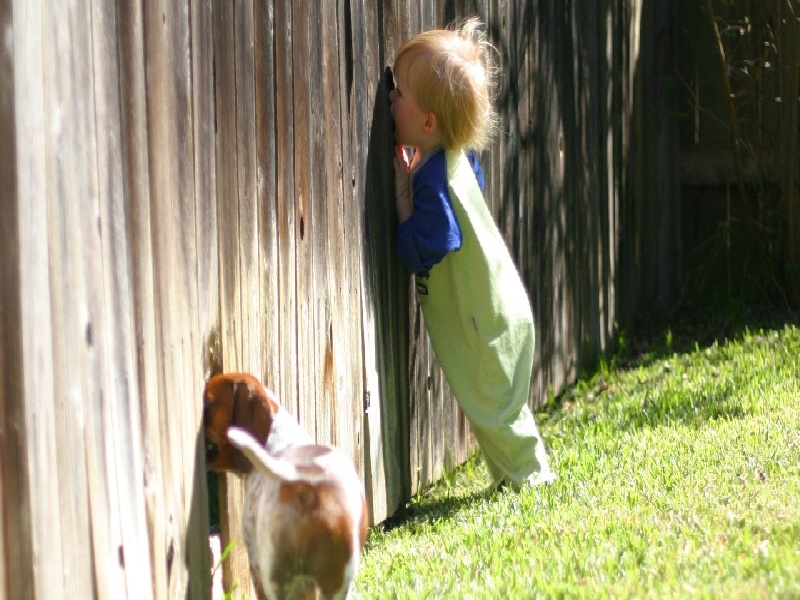 杨女士成功案例